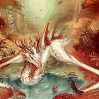 Xavier/ Dragon