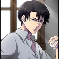 levi