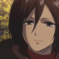 mikasa