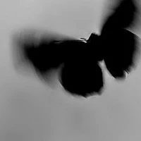 someone