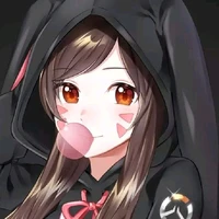 Y/N