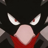 โทโคยามิ ฟูจิคาเงะ