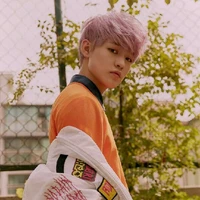 Zhong Chenle