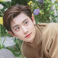 Lee Chanyeol(abang Vellyn)