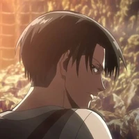 levi