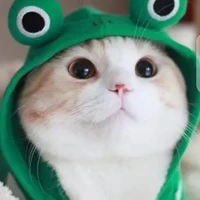 เเอดคนสวย
