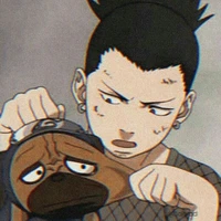 Sʜɪᴋᴀᴍᴀʀᴜ Nᴀʀᴀ