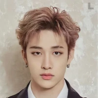 bang chan (licenciado)