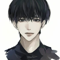 Ansh Roy(Sanvi brother)