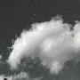 Dou