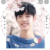 xiao Zhan (Sean xiao)