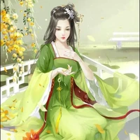 Fei suchi