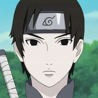 sai(polícia)