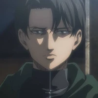 Levi