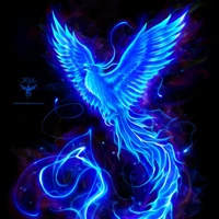 Feather