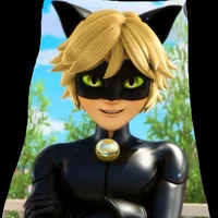 Chatnoir