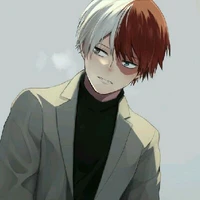Shoto Todoroki