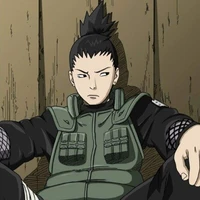 Shikamaru Alfa/D.
