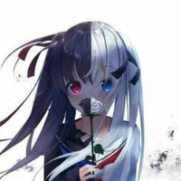 sora(author)