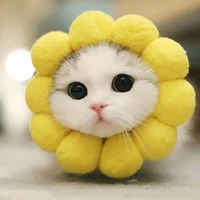 สึกกี้