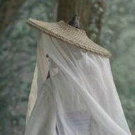 จูเหมยลี่