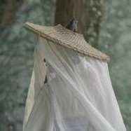 จูเหมยลี่