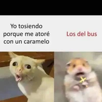 Pendeja /autora/