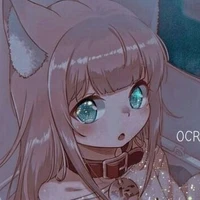 Y/N