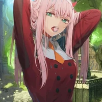 Stella