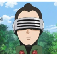Shino aburame