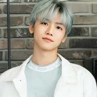 Na (Lee) Jaemin