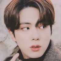 jeon seokjin