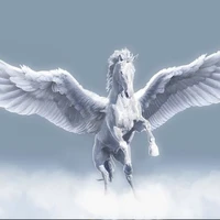 Fly