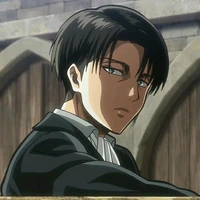 levi
