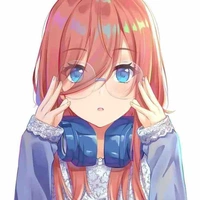 Y/n