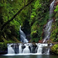 โยชิ×ชิชิ