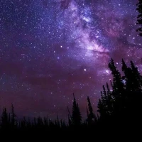 (°^°)แอดจ้า แอดเอง(°^°)