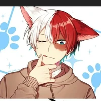 todoroki