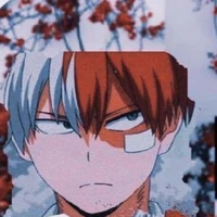 Todoroki