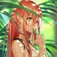 Iris