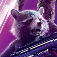 Rocket Raccoon