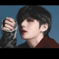 Kim taehyung/ v