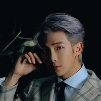 Kim Namjoon/RM