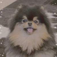 Yeontan