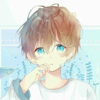 Nico/mll son
