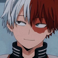 shoto todoroki