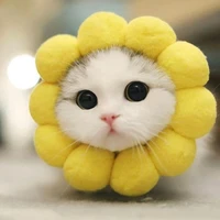 (แอด)