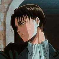 Levi