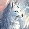 Leo (lobo)