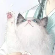 โชยุ